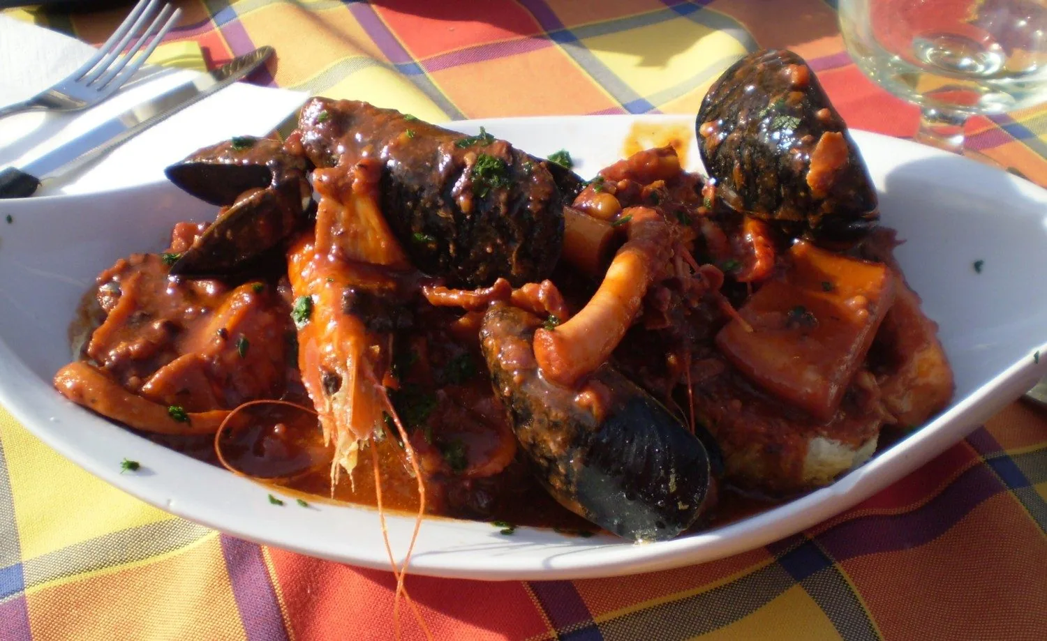 Un piatto di cacciucco con cozze, gamberi, polpo e pezzi di pesce in un denso sugo di pomodoro, sopra fette di pane, su una tovaglia a quadri colorati